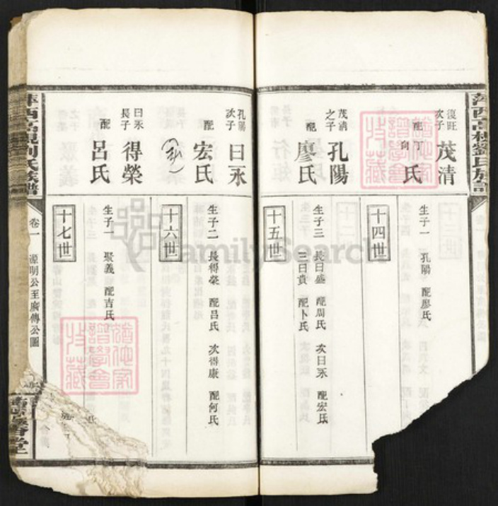 江西省萍乡市刘氏德馨堂族谱-萍西高枧刘氏族谱.pdf电子版插图5