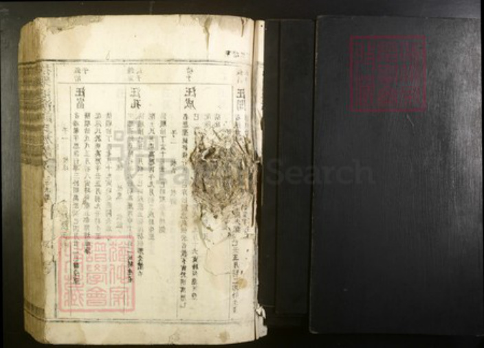 江西省抚州市谭氏族谱-抚乐池溪谭氏族谱.pdf电子版插图1