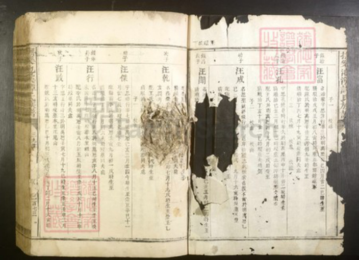 江西省抚州市谭氏族谱-抚乐池溪谭氏族谱.pdf电子版插图2