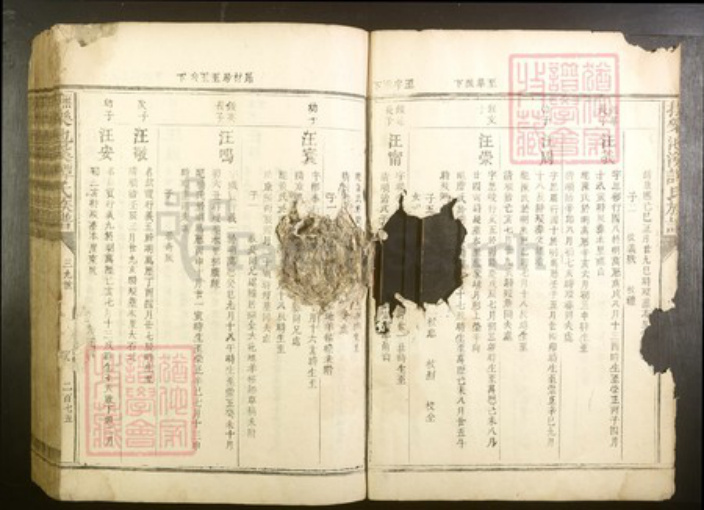 江西省抚州市谭氏族谱-抚乐池溪谭氏族谱.pdf电子版插图4