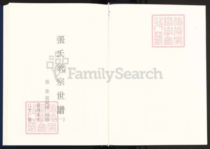 河南省开封市祥符区陈留镇张氏族谱-中国珍稀家谱丛刊明代家谱.第8~17册.张氏统宗世谱.pdf电子版插图2