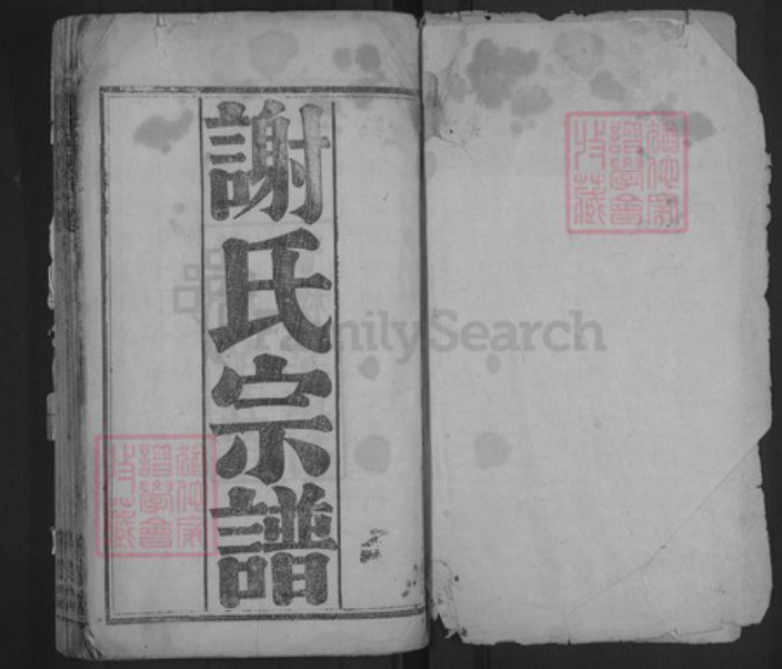 湖北省武汉市新洲区凤凰镇谢氏宝树堂族谱-谢氏宗谱.pdf电子版插图1