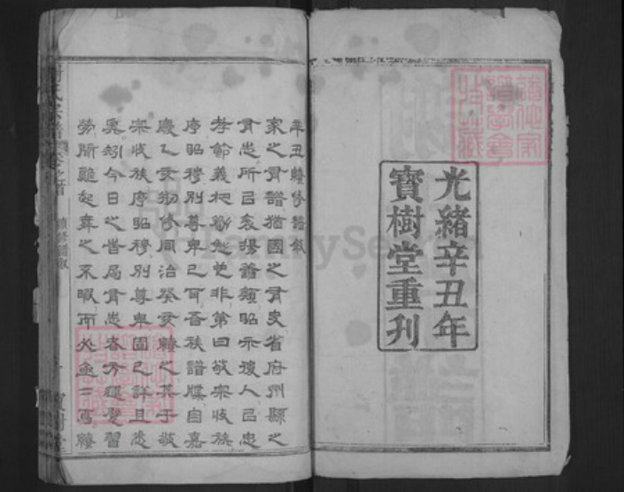 湖北省武汉市新洲区凤凰镇谢氏宝树堂族谱-谢氏宗谱.pdf电子版插图2