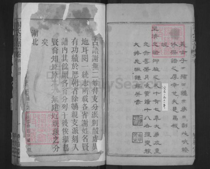 湖北省武汉市新洲区凤凰镇谢氏宝树堂族谱-谢氏宗谱.pdf电子版插图5