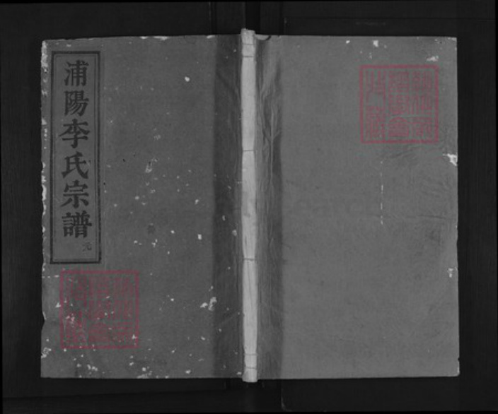 浙江省金华市浦江县李氏族谱-浦阳李氏宗谱.pdf电子版