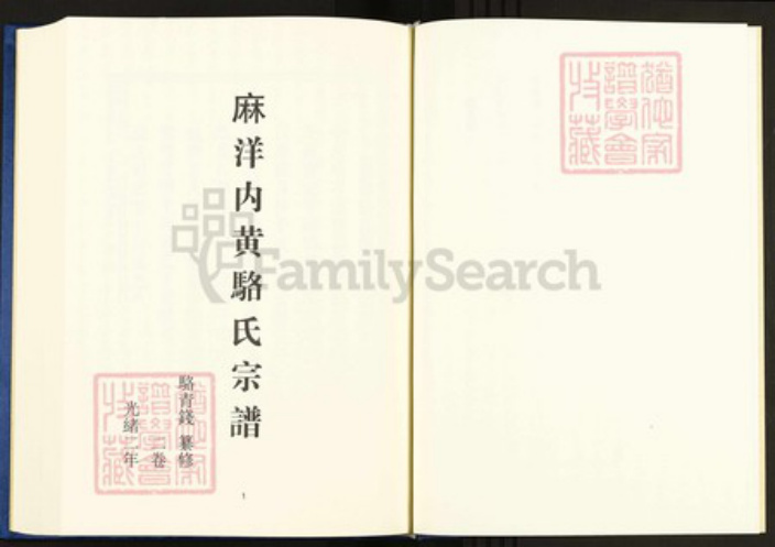 浙江省丽水市遂昌县高坪骆氏族谱-中国珍稀家谱丛刊.稀见姓氏家谱.第2辑.第5册.麻洋内黄骆氏宗谱.清源留氏族谱.pdf电子版插图3