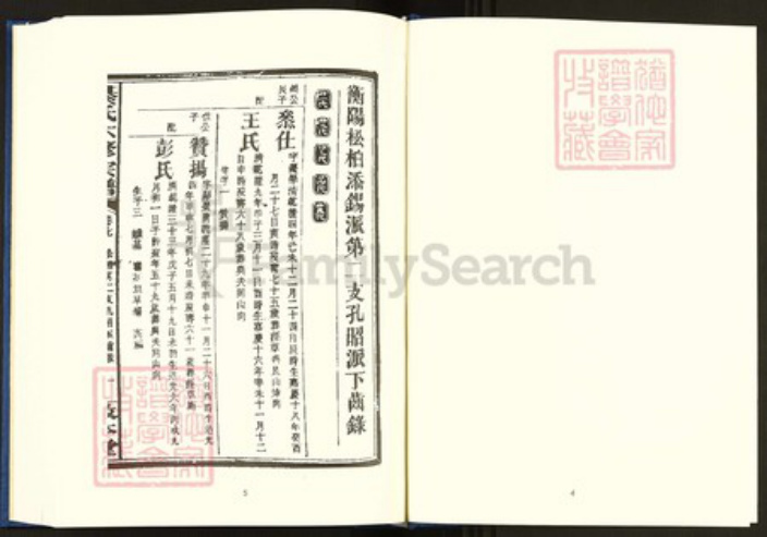 湖南省衡阳市珠晖区綦氏敦本堂族谱-中国珍稀家谱丛刊.稀见姓氏家谱.第2辑.第38~42册.湘东綦氏六修宗谱.pdf电子版插图4