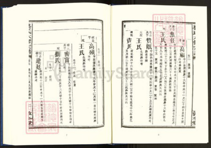 湖南省衡阳市珠晖区綦氏敦本堂族谱-中国珍稀家谱丛刊.稀见姓氏家谱.第2辑.第38~42册.湘东綦氏六修宗谱.pdf电子版插图5