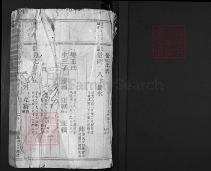 浙江省金华市义乌市佛堂镇陈氏族谱-义乌倍磊陈氏宗谱.pdf电子版插图1