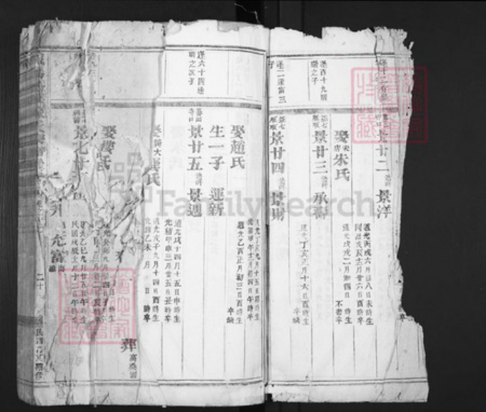 浙江省金华市义乌市佛堂镇陈氏族谱-义乌倍磊陈氏宗谱.pdf电子版插图3