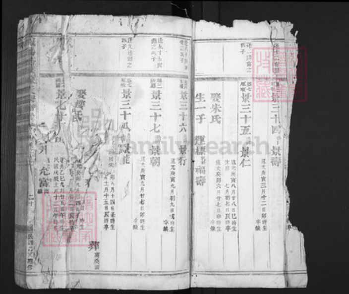 浙江省金华市义乌市佛堂镇陈氏族谱-义乌倍磊陈氏宗谱.pdf电子版插图5