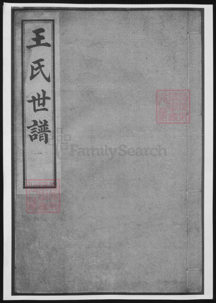 山东省淄博市桓台县王氏族谱-王氏世谱.pdf电子版