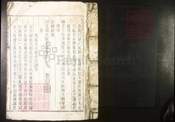 江西省吉安市泰和市王氏族谱-王氏续修南富族谱[不分卷].pdf电子版插图1