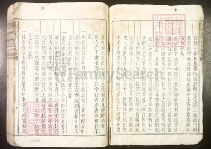 江西省吉安市泰和市王氏族谱-王氏续修南富族谱[不分卷].pdf电子版插图4