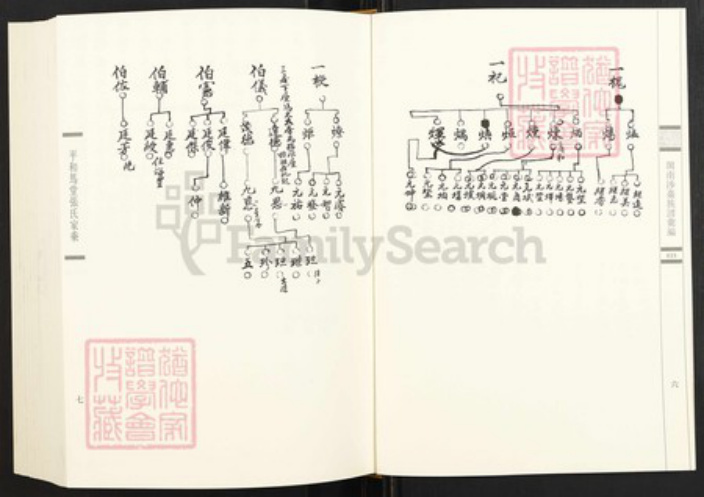 福建省泉州市金门县金城姜氏族谱-闽南涉台族谱汇编.第35册.金门后浦姜氏族谱等.pdf电子版插图5