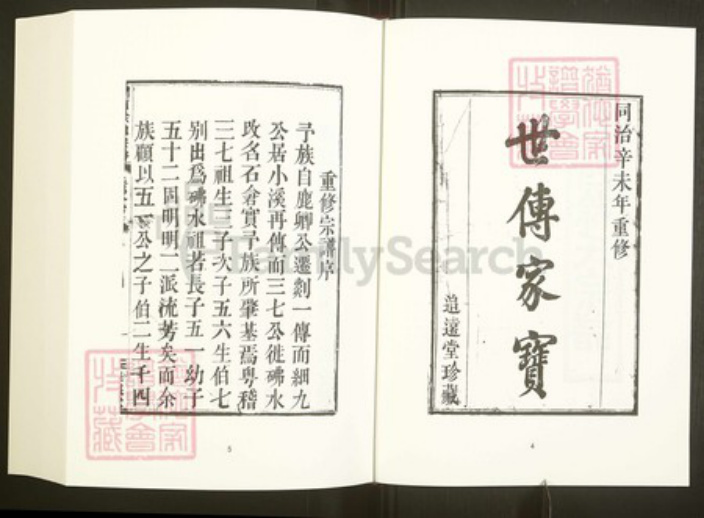 浙江省绍兴嵊州市下王镇徐氏追远堂族谱-中国珍稀家谱丛刊彩绘宗谱.第28~31册.剡西徐氏宗谱.林盛杨氏宗谱.pdf电子版插图5