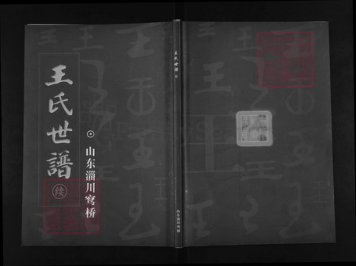 山东省淄博市淄川区王氏族谱-王氏世谱.pdf电子版插图