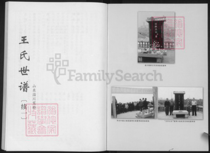 山东省淄博市淄川区王氏族谱-王氏世谱.pdf电子版插图1