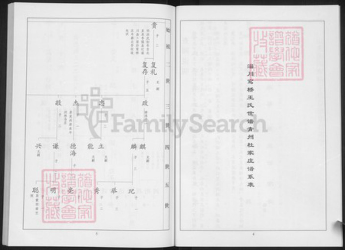 山东省淄博市淄川区王氏族谱-王氏世谱.pdf电子版插图5