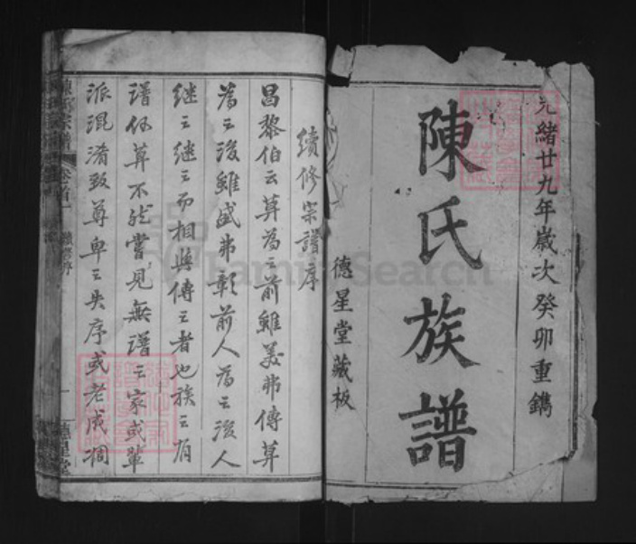湖北省武汉市新洲区陈氏德星堂族谱-陈氏宗谱.pdf电子版插图1