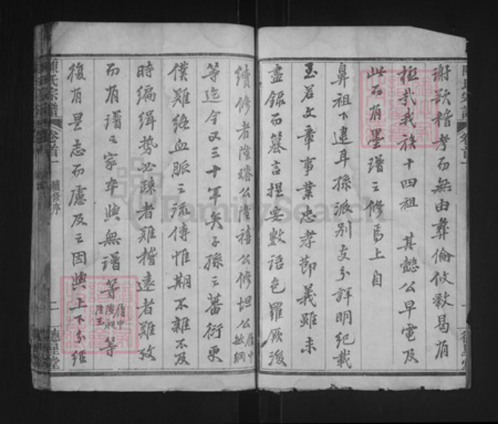 湖北省武汉市新洲区陈氏德星堂族谱-陈氏宗谱.pdf电子版插图2