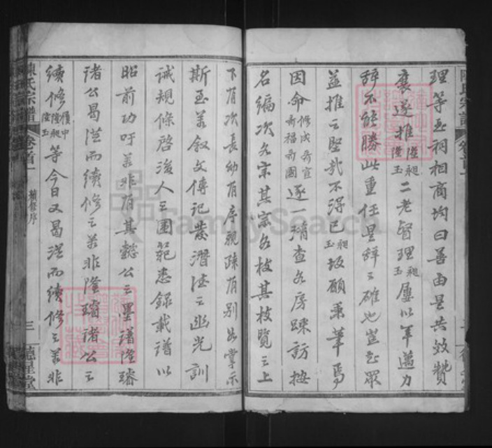 湖北省武汉市新洲区陈氏德星堂族谱-陈氏宗谱.pdf电子版插图3