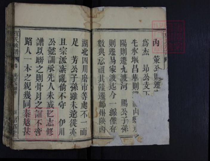 湖南省常德市石门县程氏族谱-程氏族谱.pdf电子版插图2