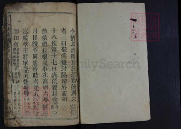 湖南省常德市石门县丁氏族谱-丁氏族谱.pdf电子版插图1