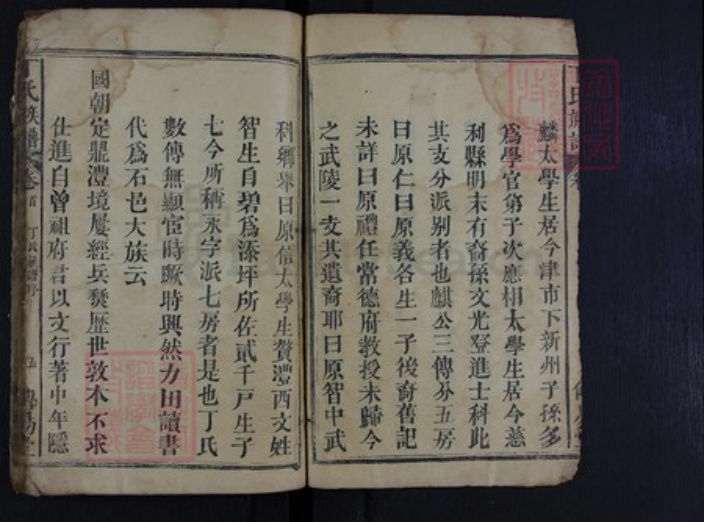 湖南省常德市石门县丁氏族谱-丁氏族谱.pdf电子版插图4