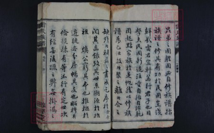湖南省永州市雷氏族谱-雷氏族谱.pdf电子版插图2