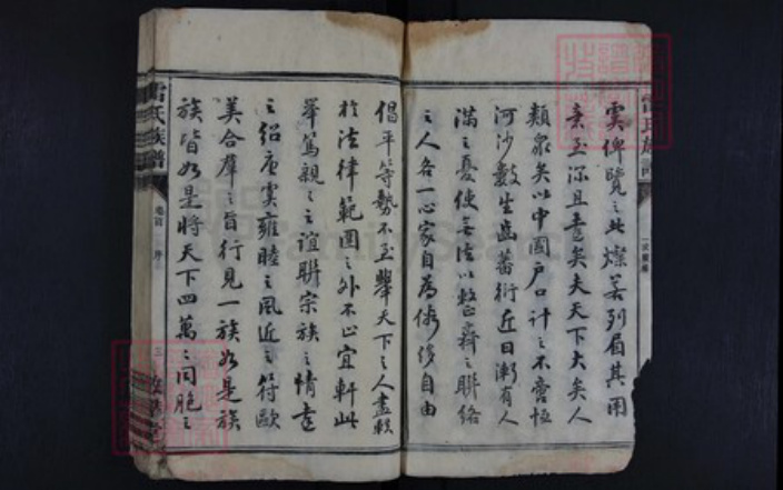 湖南省永州市雷氏族谱-雷氏族谱.pdf电子版插图3