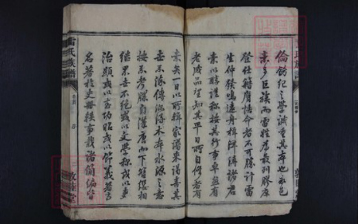 湖南省永州市雷氏族谱-雷氏族谱.pdf电子版插图5