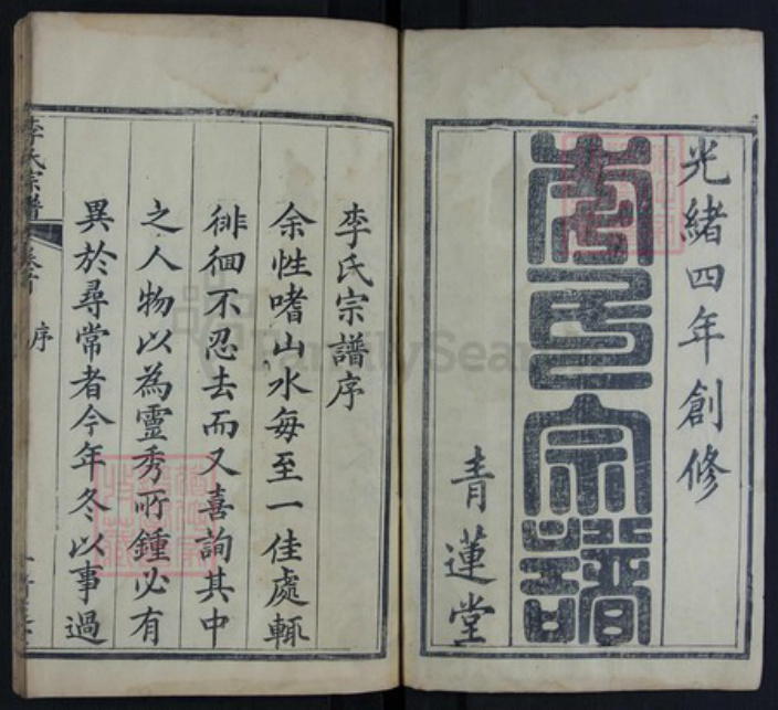 湖北省黄冈市红安县杏花乡李氏族谱-李氏宗谱.pdf电子版插图1