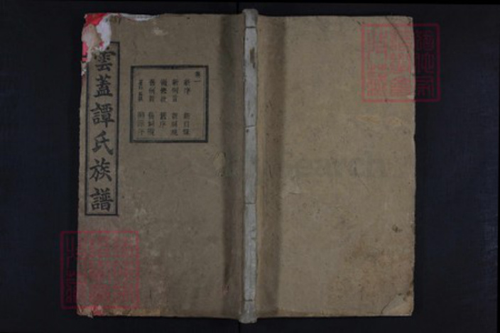 湖南省长沙市谭氏族谱-云盖谭氏族谱.pdf电子版插图