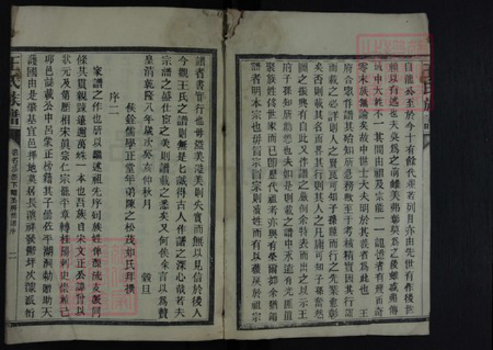湖南省郴州市王氏族谱-王氏族谱.pdf电子版插图2
