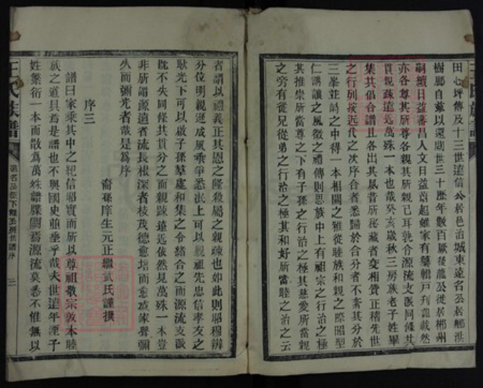 湖南省郴州市王氏族谱-王氏族谱.pdf电子版插图3