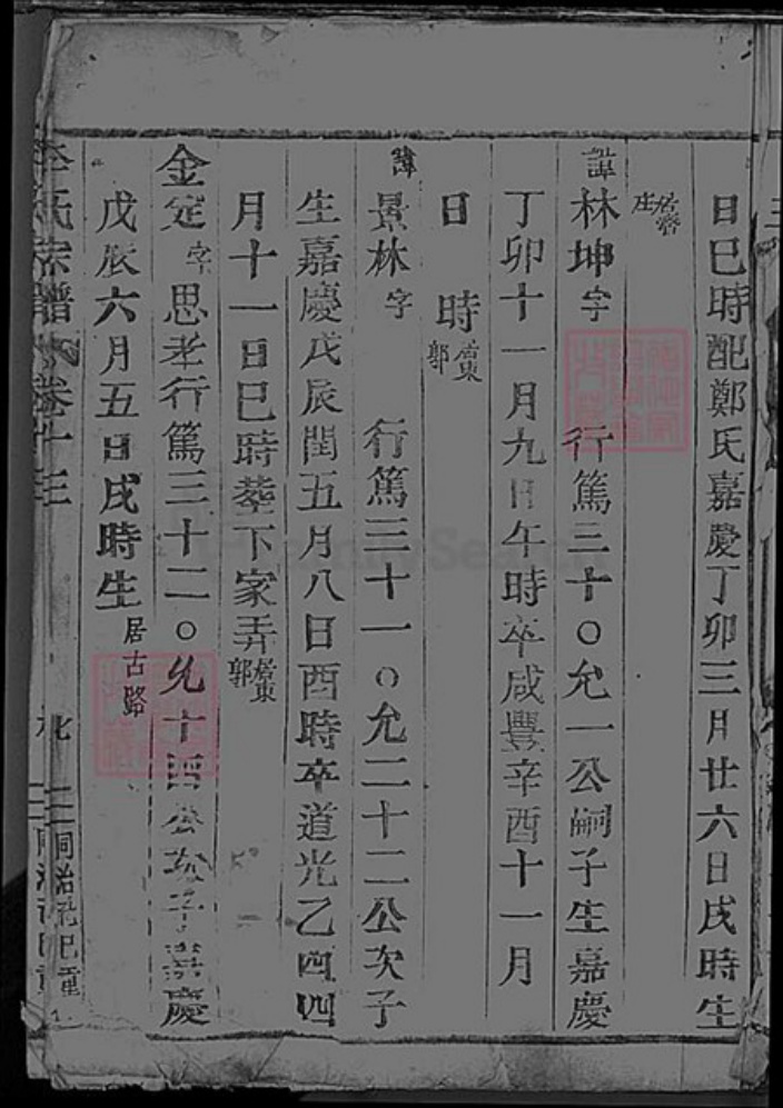 浙江省李氏族谱-李氏宗谱.pdf电子版插图