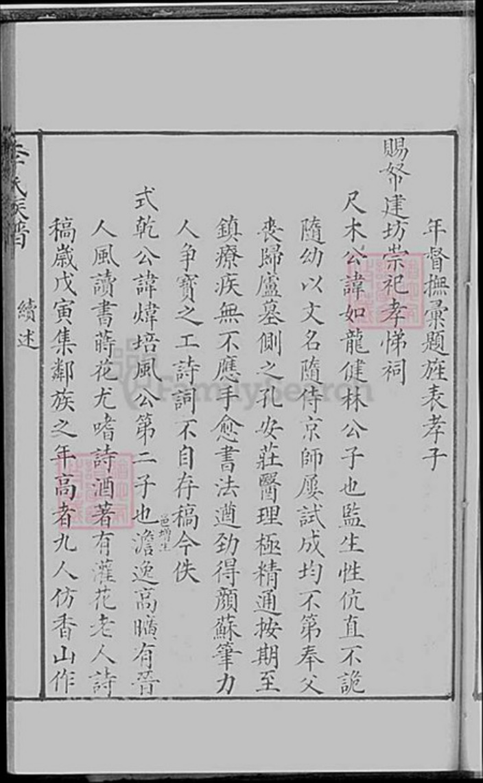 上海市松江区李氏族谱-李氏族谱.pdf电子版插图3