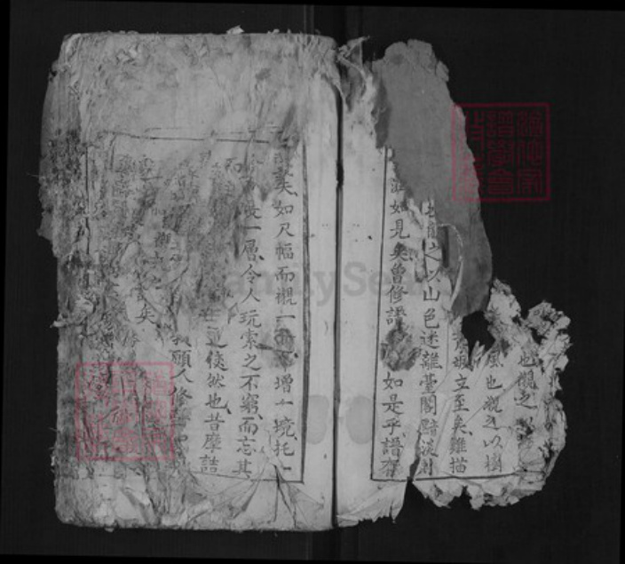 江西省赣州市兴国县杨氏族谱-杨氏族谱[不分卷].pdf电子版插图3