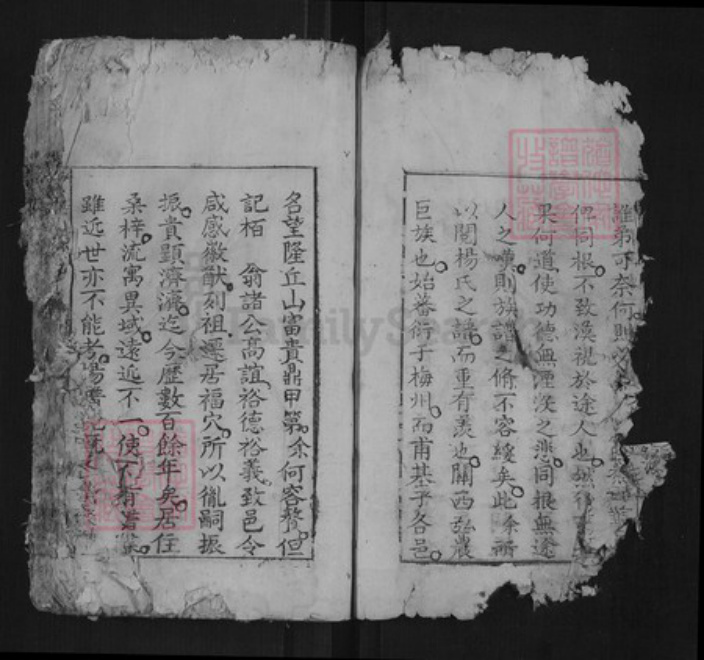 江西省赣州市兴国县杨氏族谱-杨氏族谱[不分卷].pdf电子版插图4