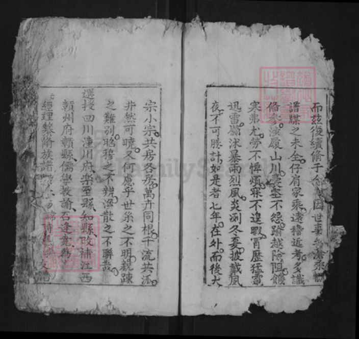 江西省赣州市兴国县杨氏族谱-杨氏族谱[不分卷].pdf电子版插图5