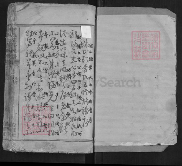 湖南省株洲市渌口区株洲李氏治礼堂族谱-李氏五修族谱[12卷].pdf电子版插图1