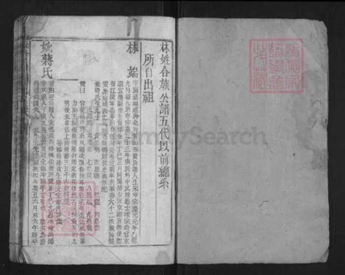 福建省莆田市林氏族谱-林族公谱.pdf电子版插图1