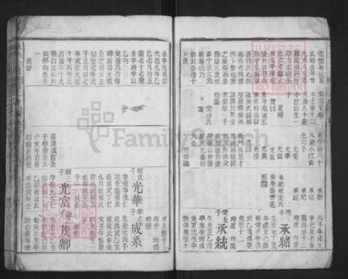 福建省莆田市林氏族谱-林族公谱.pdf电子版插图3