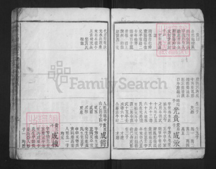 福建省莆田市林氏族谱-林族公谱.pdf电子版插图4