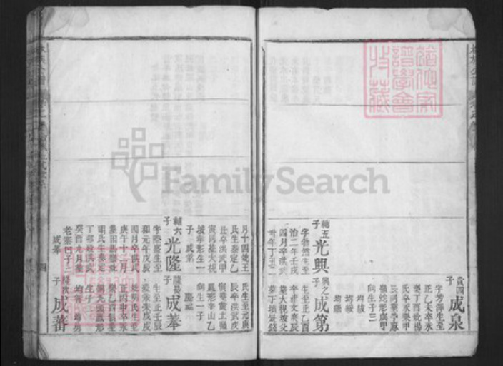 福建省莆田市林氏族谱-林族公谱.pdf电子版插图5