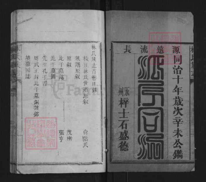 福建省莆田市林氏族谱-林氏族志[5卷].pdf电子版插图1