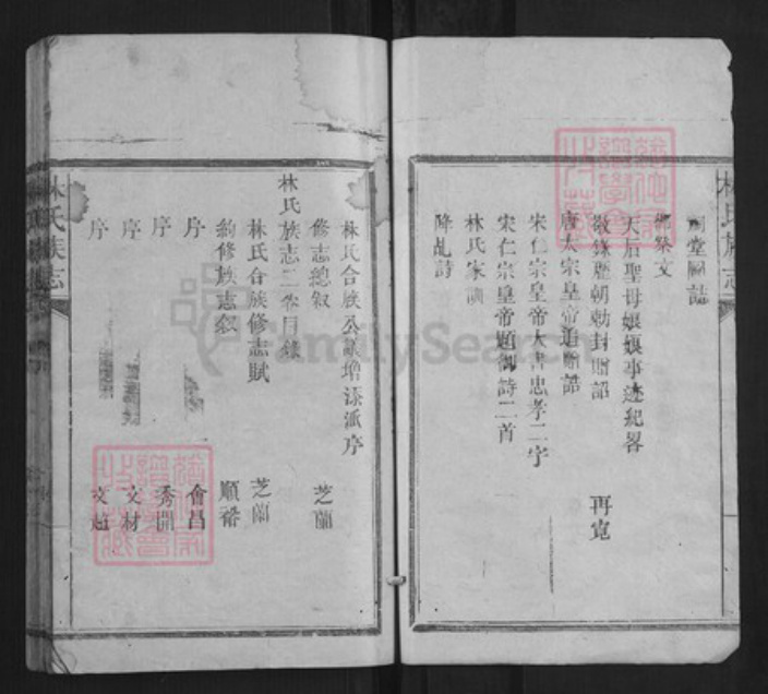 福建省莆田市林氏族谱-林氏族志[5卷].pdf电子版插图2
