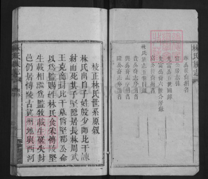 福建省莆田市林氏族谱-林氏族志[5卷].pdf电子版插图4
