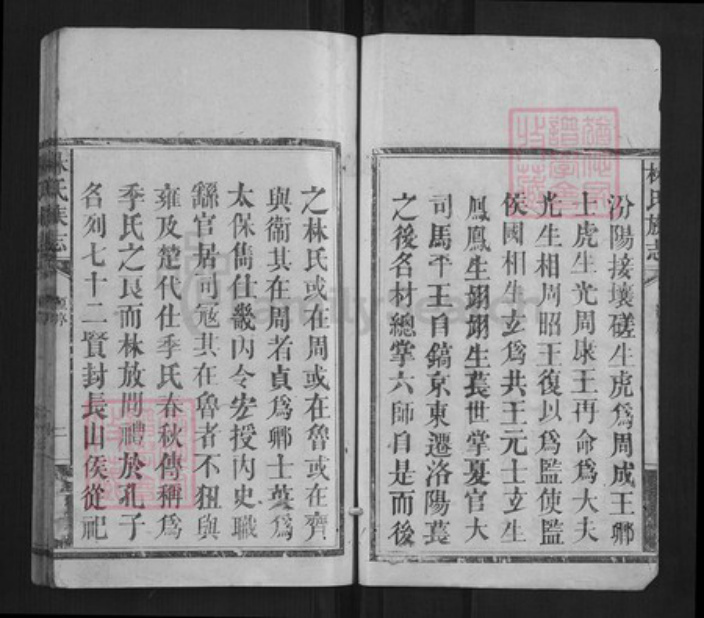 福建省莆田市林氏族谱-林氏族志[5卷].pdf电子版插图5